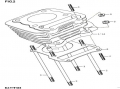 leopard125-2