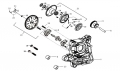trevis125-4